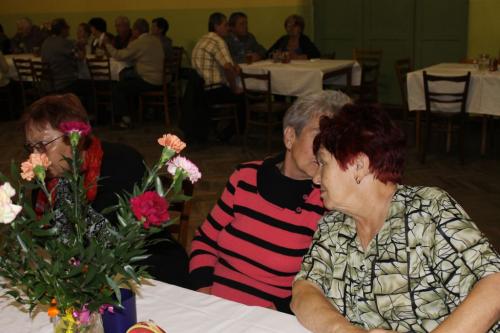Setkání seniorů 2015 ve Pteníně